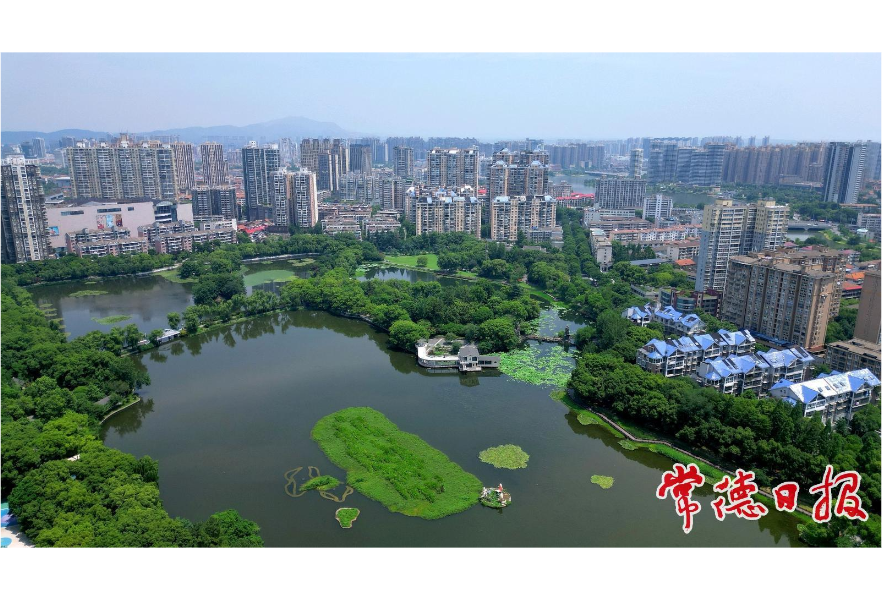 高温、暴雨、大雾轮番上阵！未来一周常德天气太魔幻