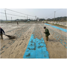 桃源县马鬃岭镇：春耕向荣，沃野生金