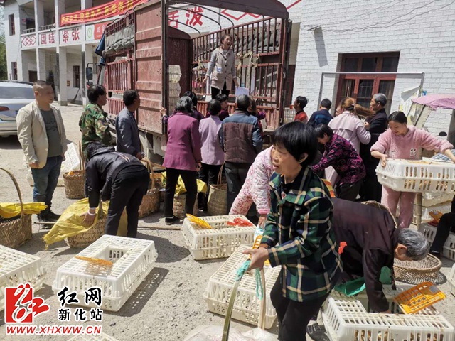 图片4.jpg
