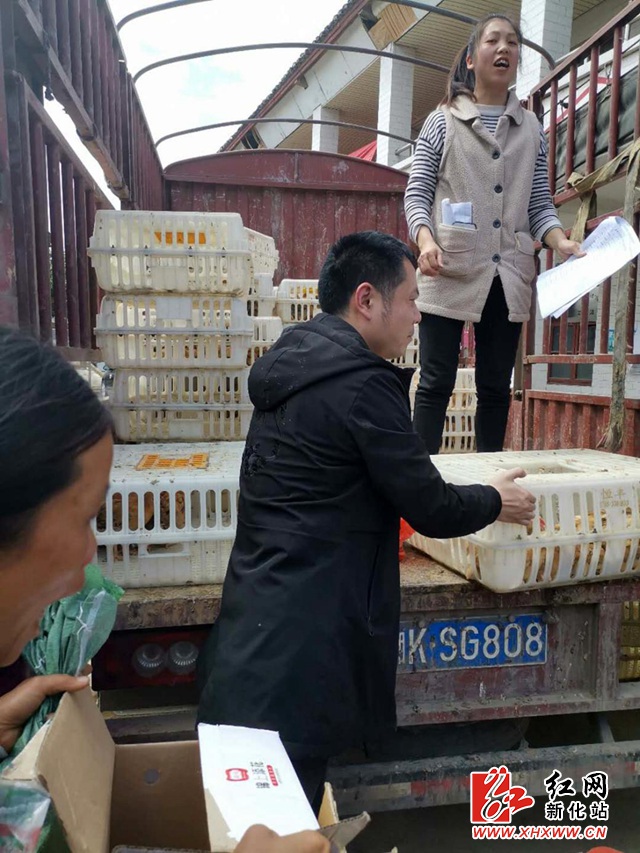图片5.jpg