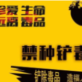 冷水滩区前进社区开展禁种铲毒踏查工作