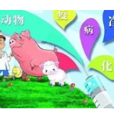 冷水滩区杨村甸乡：“春防”工作有序推进