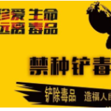 冷水滩区紫荆社区积极组织开展春季禁种铲毒踏查专项行动