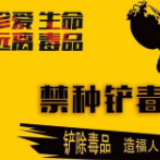 冷水滩区蔡市镇：开展踏查“全覆盖” 确保毒品原生植物“零种植”