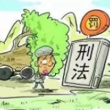 冷水滩：破获2起非法采伐国家重点保护植物案