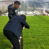 冷水滩：农气服务助力早稻育秧