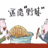 冷水滩:强化监管 拒绝“野味”上餐桌