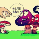 冷水滩区肖家园街道：开展防范野生蘑菇中毒宣传活动