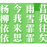 创意海报丨去时冬未尽，归来春芳菲，凯旋日，欢迎回家