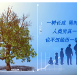 森林防火一分钟警示录
