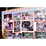 数十种农特产品集中亮相消费扶贫集市：市民“买买买”，农户笑开颜