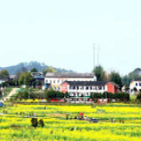 “点对点”精准服务 项目建设跑出“加速度”