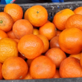 “东江夏椪”新鲜来袭！消费扶贫“两头甜”