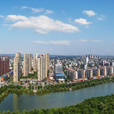 望城又下了一步“先手棋”