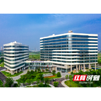 岳麓种业峰会在长沙召开，传递哪些重要信息？
