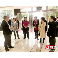 天心•两会② | 五年精彩履职答卷 写在天心大地上