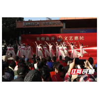 文化名家点亮芙蓉区 艺术之美绽放袁家岭
