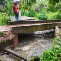 闻“汛”而动，暴雨中的网格红