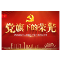 党旗下的荣光 | 天心组工 奋楫前行