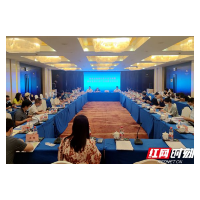 建平台 引人才 这场座谈会点出发展关键词