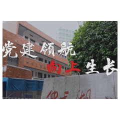 “红色天心有力量”| 仰天湖小学党支部书记简丽梅：党建领航 向上生长