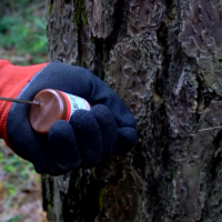 天心科技之美② | 南方天敌繁育与应用工程技术研究中心