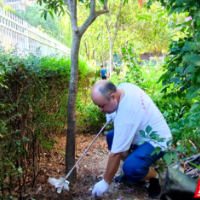 党群连心共建和谐社区 刷新美好家园高颜值