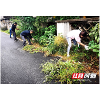 乡村环境大清扫 干净清爽迎国庆
