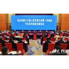 吴桂英参加市十六届人大一次会议宁乡市代表团审议