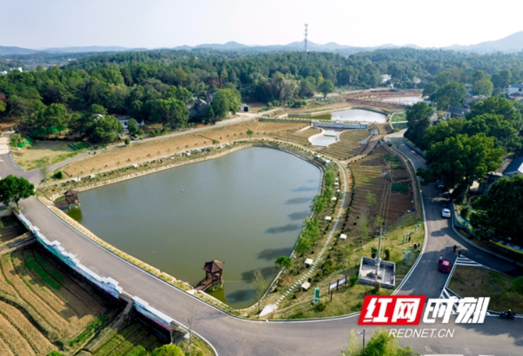 水美宁乡③丨花明楼镇炭子冲村：日新月异，多彩画卷