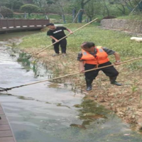 清河净滩 共享绿水青山