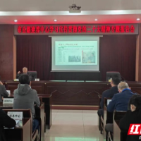 以学促思 以思践行 砥砺奋进新征程