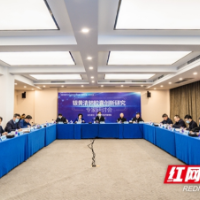 浏阳经开区安邦制药独家产品银黄清肺胶囊列入“国家队”