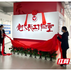长沙首个建在产业链上的“党代表工作室”，在雨花经开区揭牌成立！