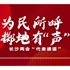 海报 | 句句直抵“民”心 来听代表通道上的好声音