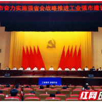 奖补资金创近年之最！宁乡奋力推进工业强市建设