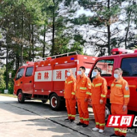 望城区：多措并举筑牢清明期间森林“防火墙”