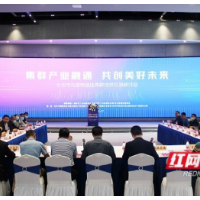 长沙10余家企业面对面 探讨国家级集群融通之道