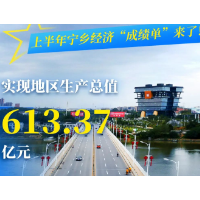 613.37亿元！一组海报看宁乡上半年“成绩单”
