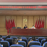 亮成绩 找不足 明方向 东岸街道召开2022年度基层党组织书记抓基层党建工作述职评议会议