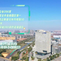 视频丨以创新写高新 120秒“高”看雨花经开区