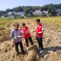 加强秸秆禁烧宣传 共建美丽绿色家园