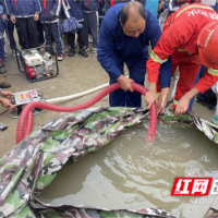 森林防火“进校园”，筑牢安全“防火墙”