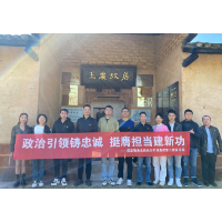 政治引领铸忠诚 挺膺担当建新功 长沙税务第二税务分局开展青年主题活动