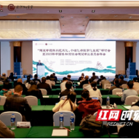 文博大咖齐聚长沙铜官窑，用陶瓷文化讲好中国故事