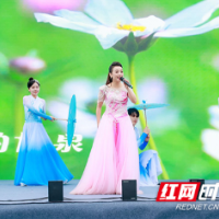 第二届雨花区旅发大会开幕，十大消费新场景发布