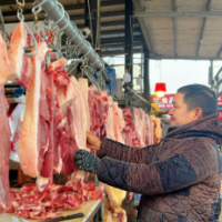 每天供应近5000头猪 寒潮下“肉篮子”量足价稳