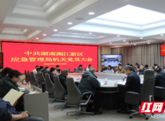 湘江新区应急管理局召开党员大会 选举产生新一届支部委员会