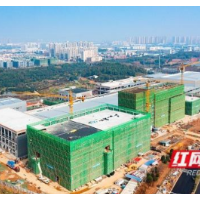 望城春潮涌⑤｜动如脱“兔”：项目推进之快