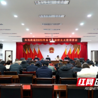 织密安全“防护网”筑牢森林“防火墙”